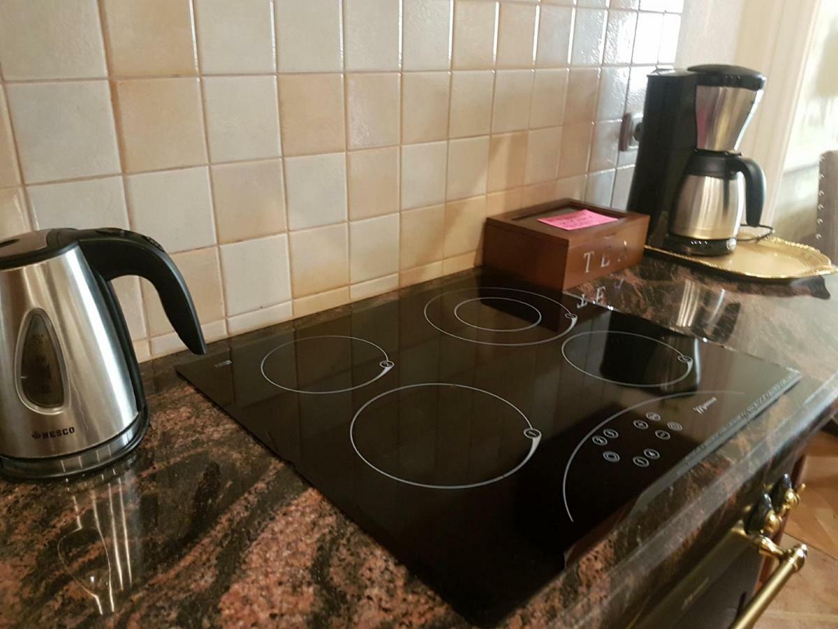 Goldstar Luxury Old Town Krakow Apartment Ngoại thất bức ảnh